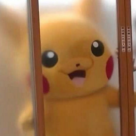 Meet your Posher, Anna - Picture 1 of 1